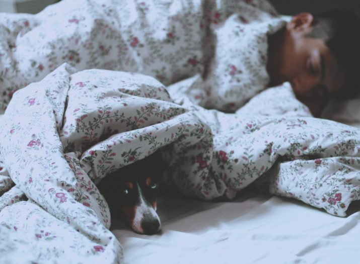 Person sleeping under blankets with dog.